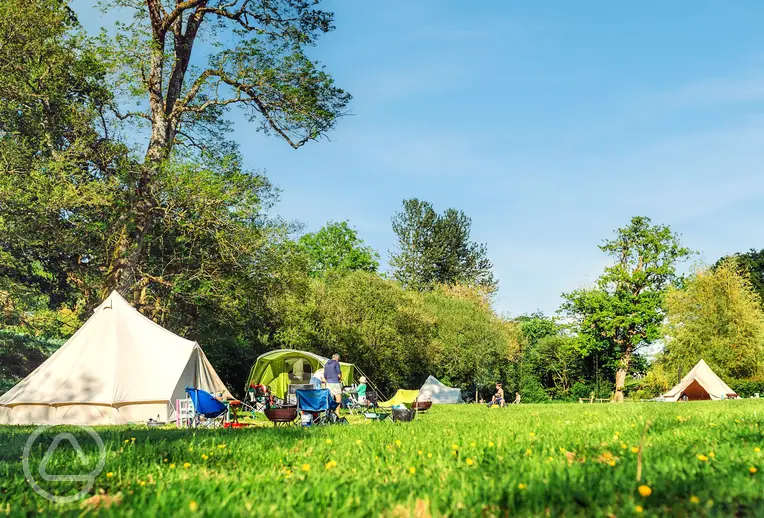 Non electric grass pitches at Three Hares Campsite