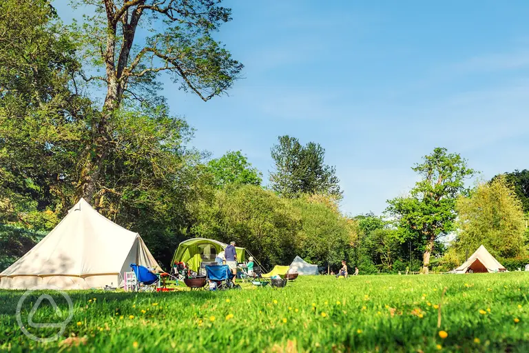 Non electric grass pitches at Three Hares Campsite
