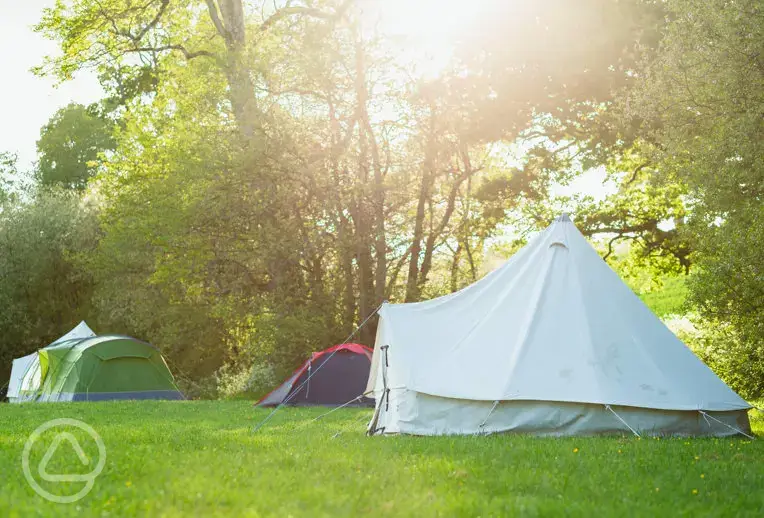 Non electric grass pitches