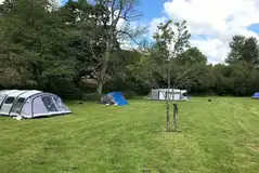 Non electric grass pitches Non electric grass pitches