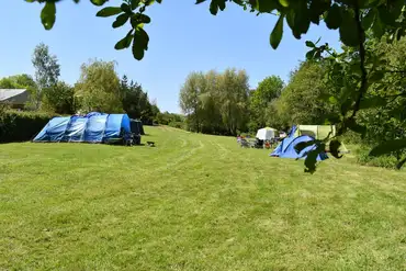 Non electric grass pitches