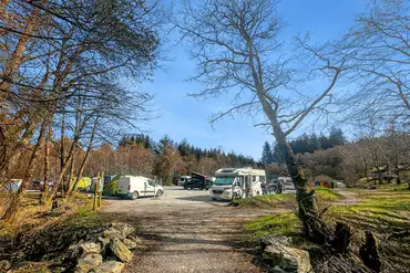 Electric hardstanding pitches with woodland surrounding the park
