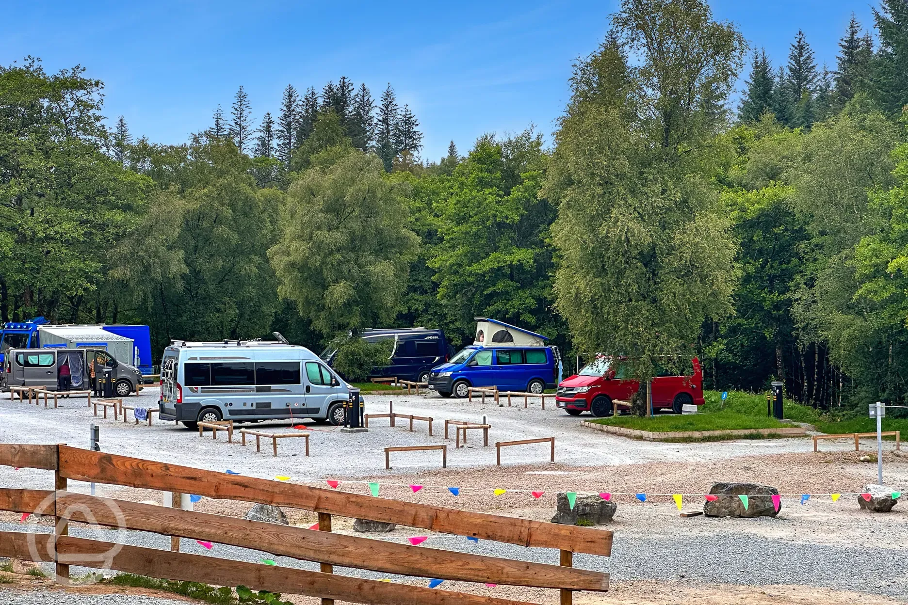 Electric hardstanding pitches with woodland surrounding the park