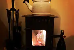 The Nest wood burner