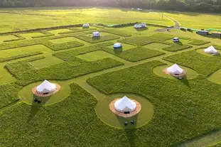 Forest Edge, Sidbury, Devon Forest Edge, Sidbury, Devon