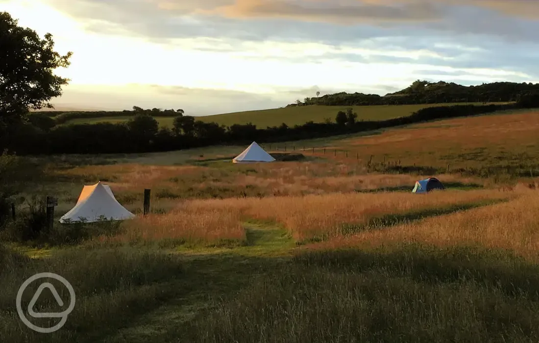 Sunset over the site