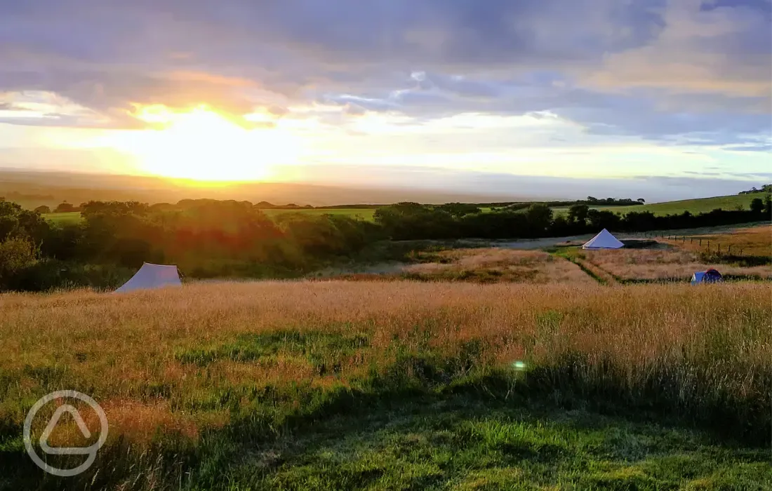 Sunset over the site