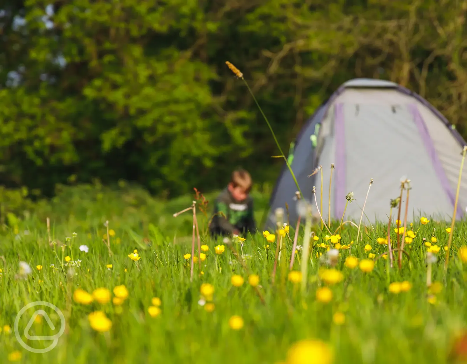 Grass pitches