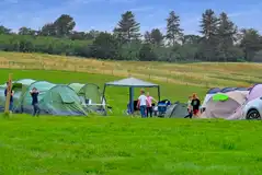 Spacious grass pitches
