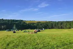 Waggoners Campsite in Surrey surrounded by woodland