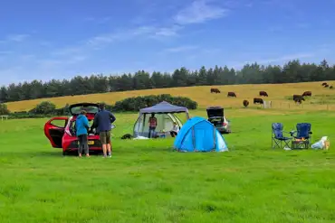 Spacious grass pitches
