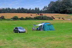 Spacious grass pitches