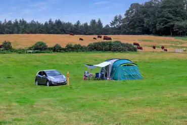 Spacious grass pitches