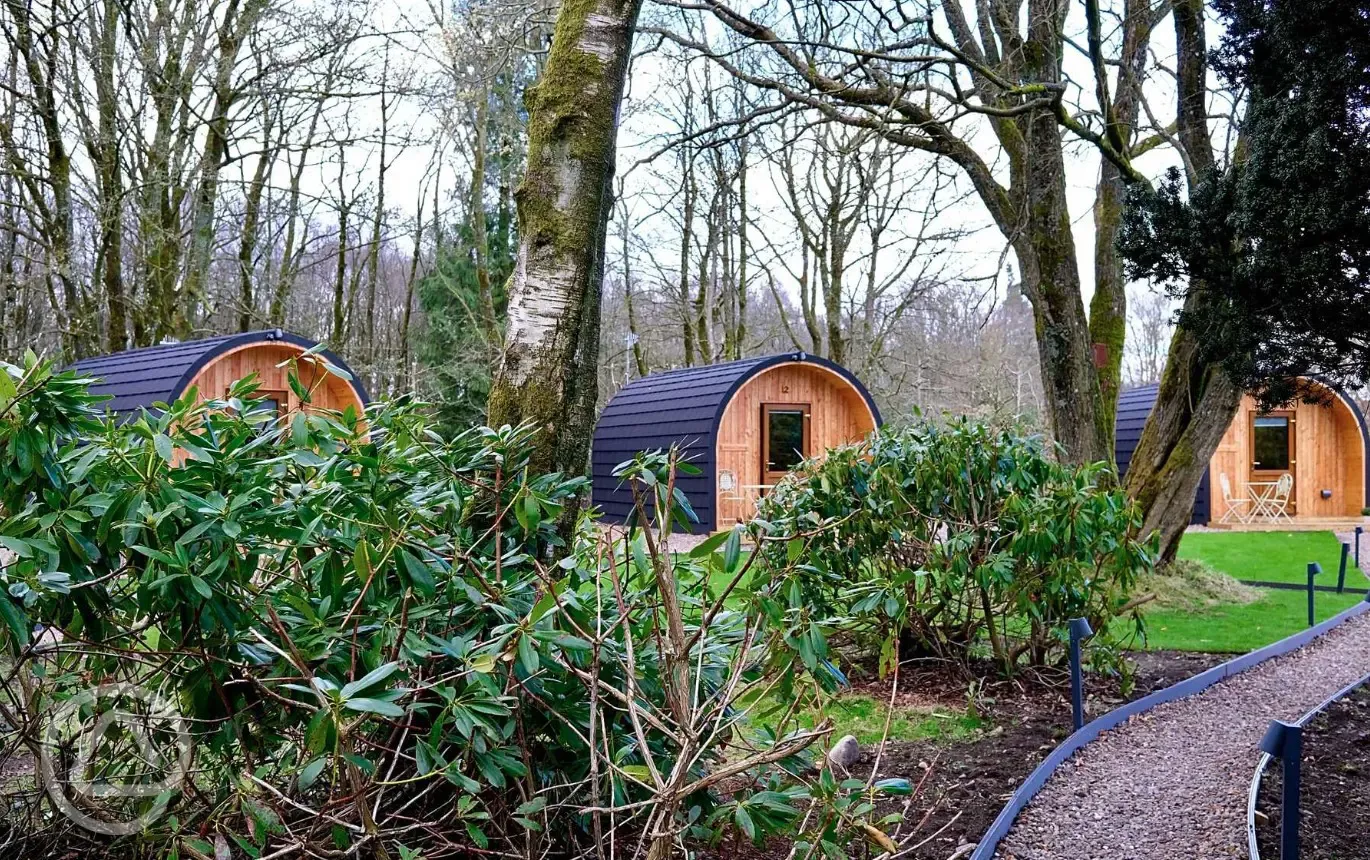 Pods surrounded by woodland