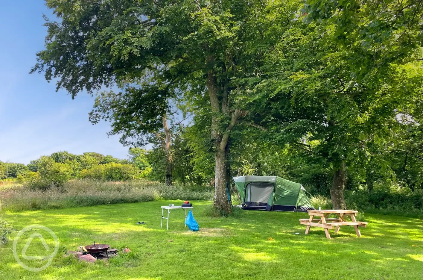 Woodland grass pitches - optional electric