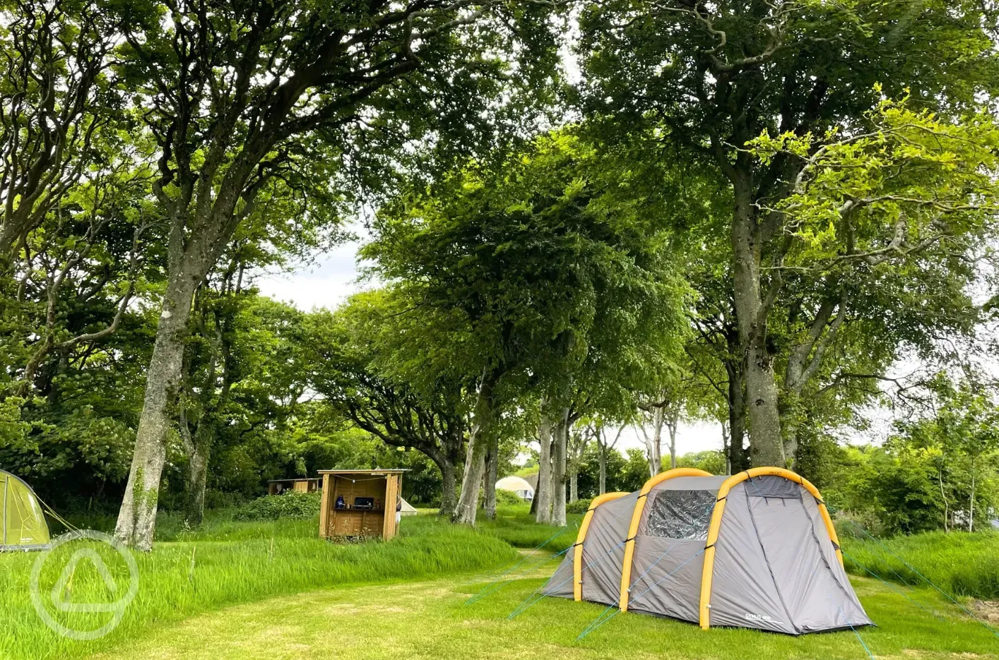 Woodland grass pitches - optional electric