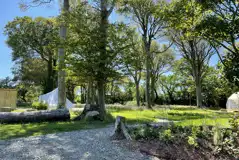 Woodland grass pitches - optional electric Woodland grass pitches - optional electric