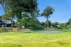 Hardstanding meadow pitches - optional electric