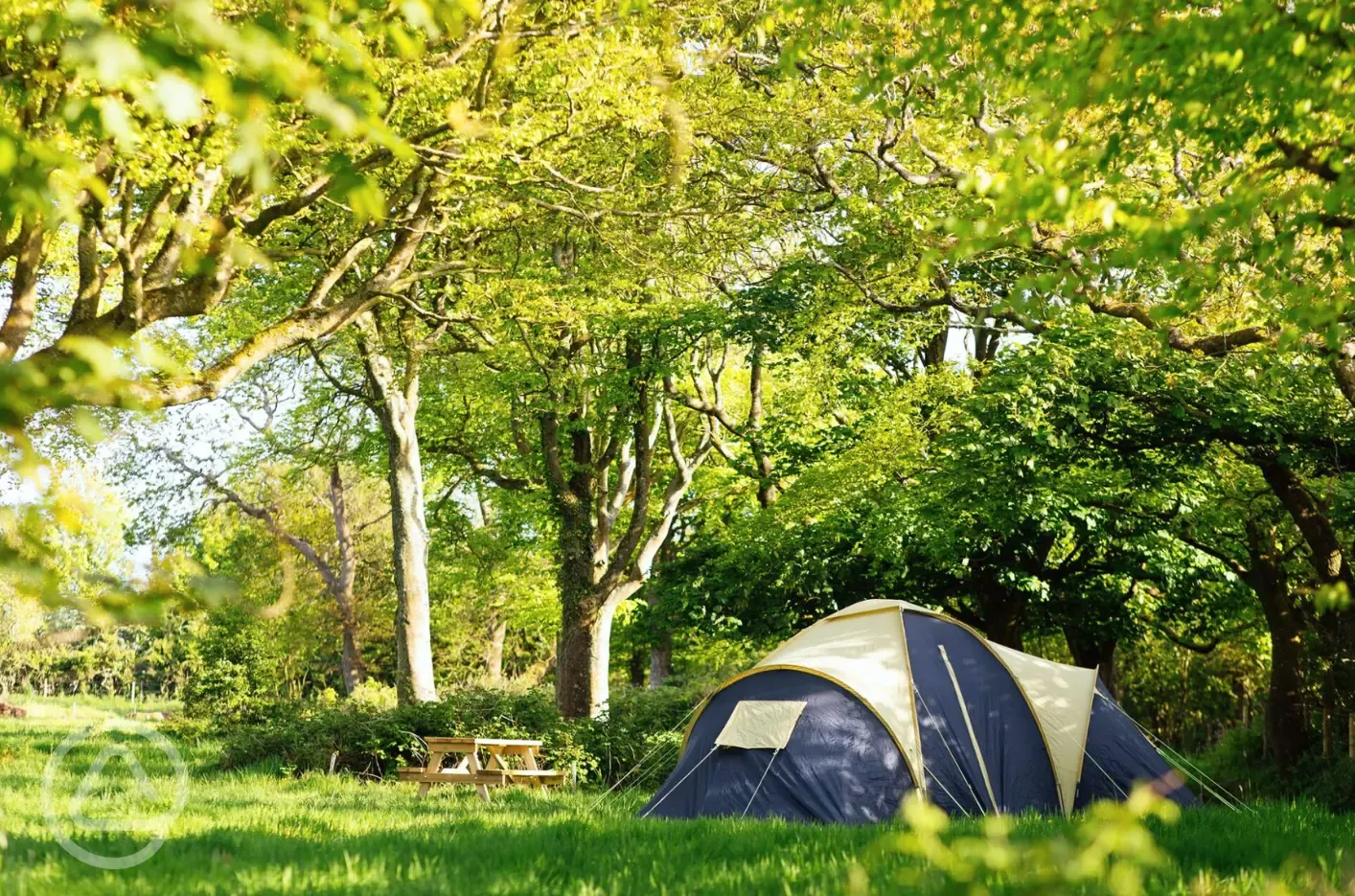 Woodland grass pitches - optional electric