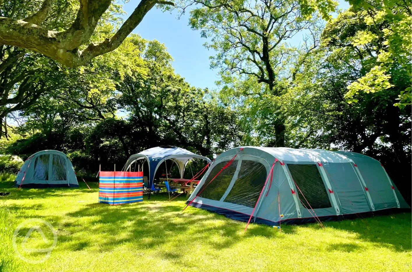Woodland grass pitches - optional electric
