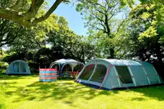 Woodland grass pitches - optional electric Woodland grass pitches - optional electric