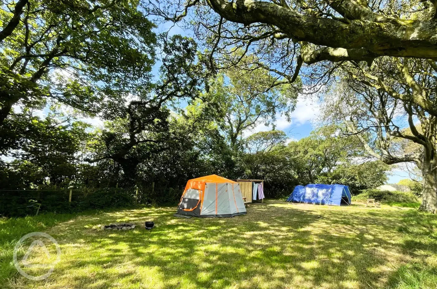 Woodland grass pitches - optional electric