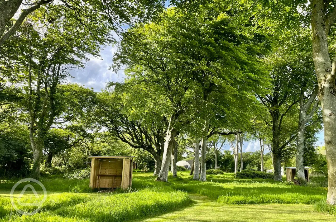 Woodland grass pitches - optional electric