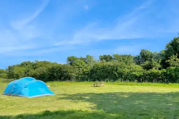 Non electric meadow pitches
