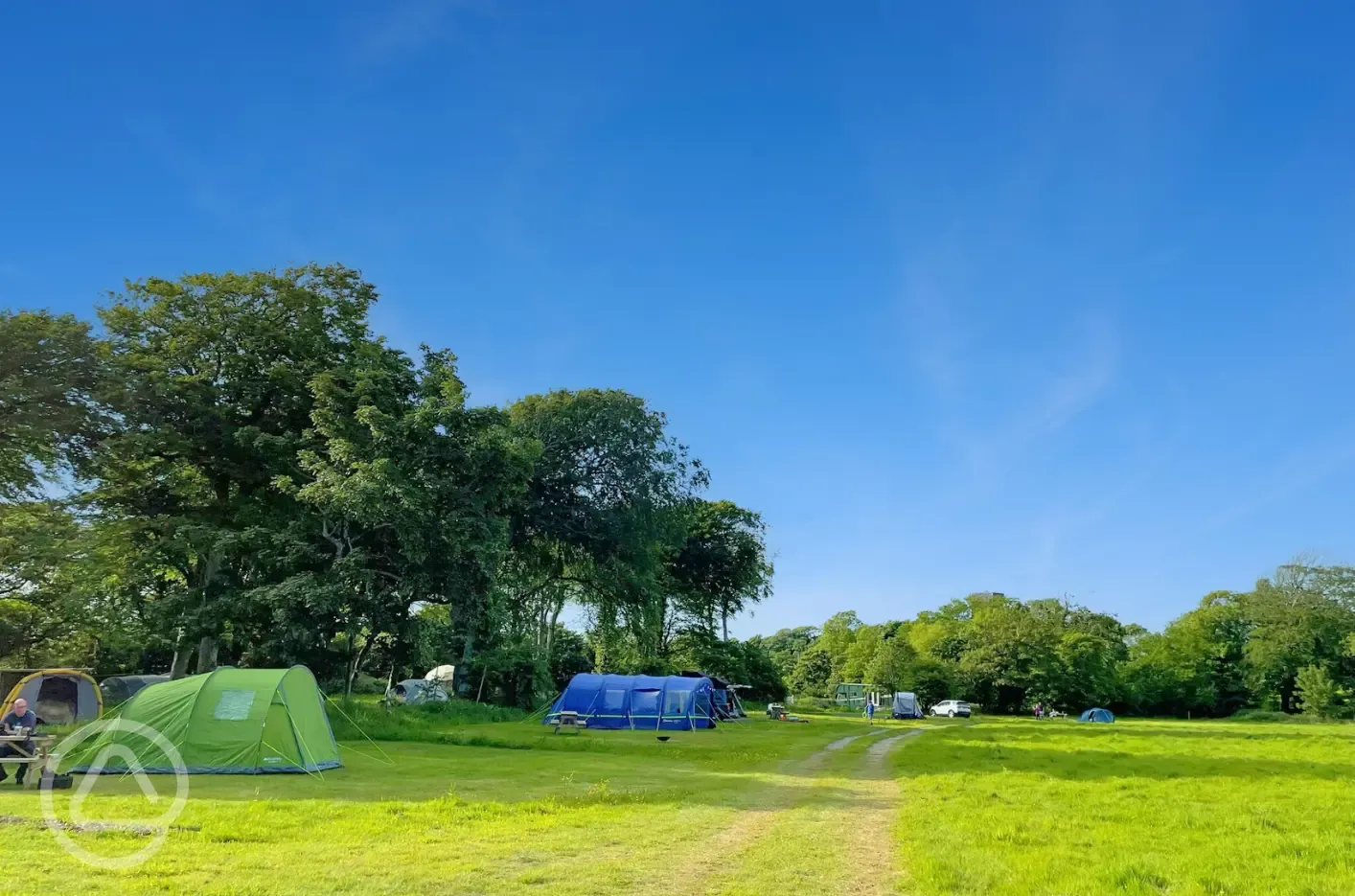 Non electric meadow pitches