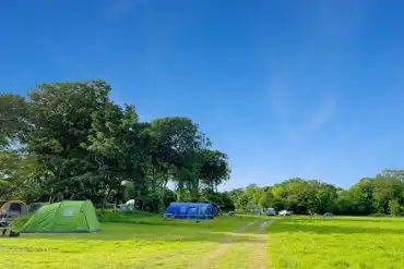 Non electric meadow pitches