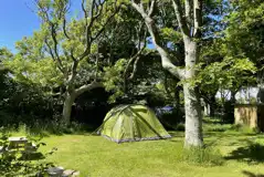 Woodland grass pitches - optional electric Woodland grass pitches - optional electric