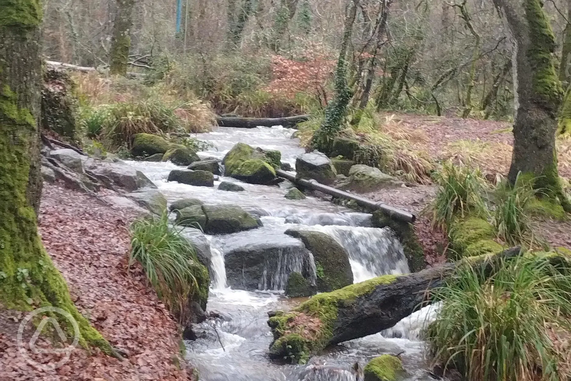 Waterfall around the site