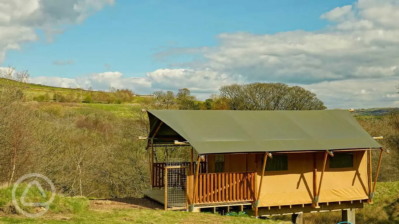 Safari tent 