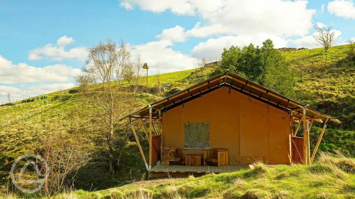 Safari tent 