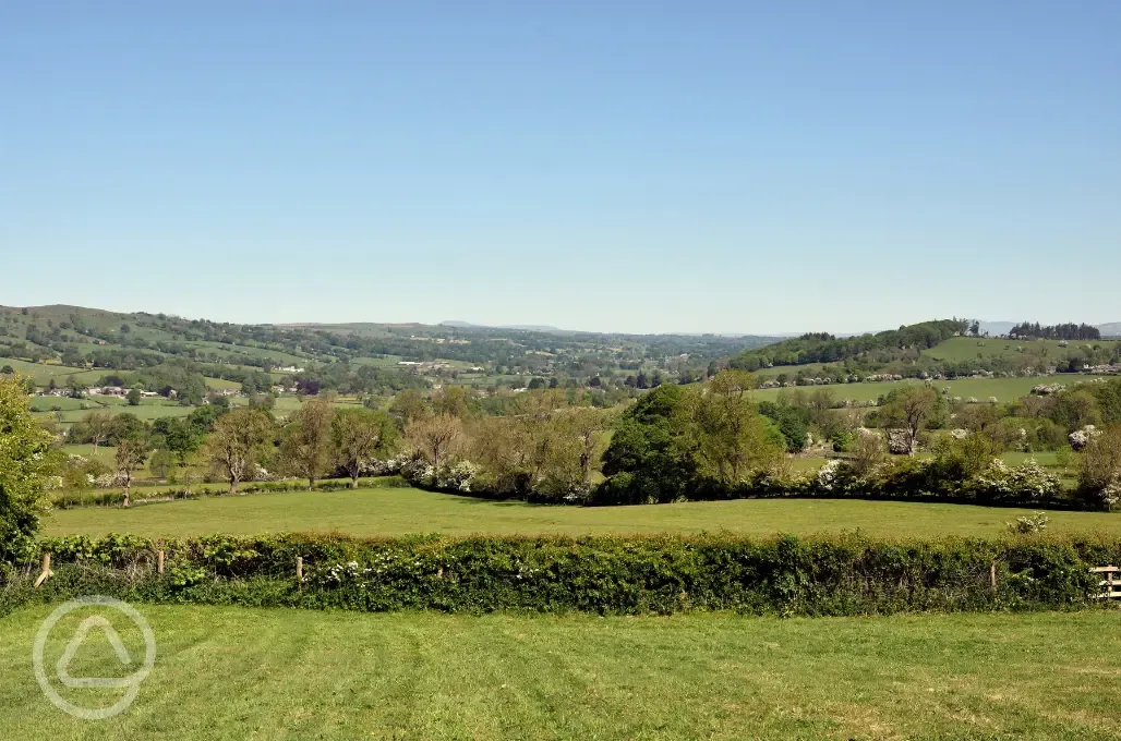 Views from site