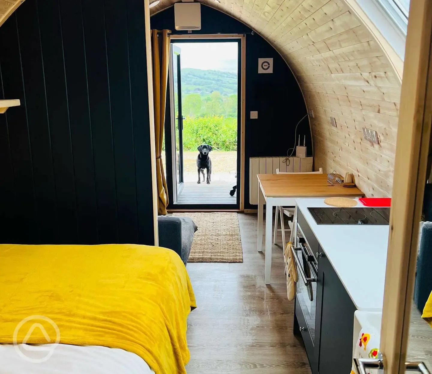 View from inside the glamping pod