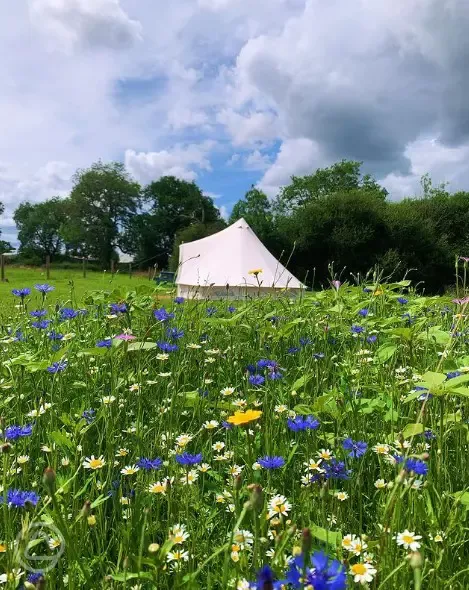 Bell tent