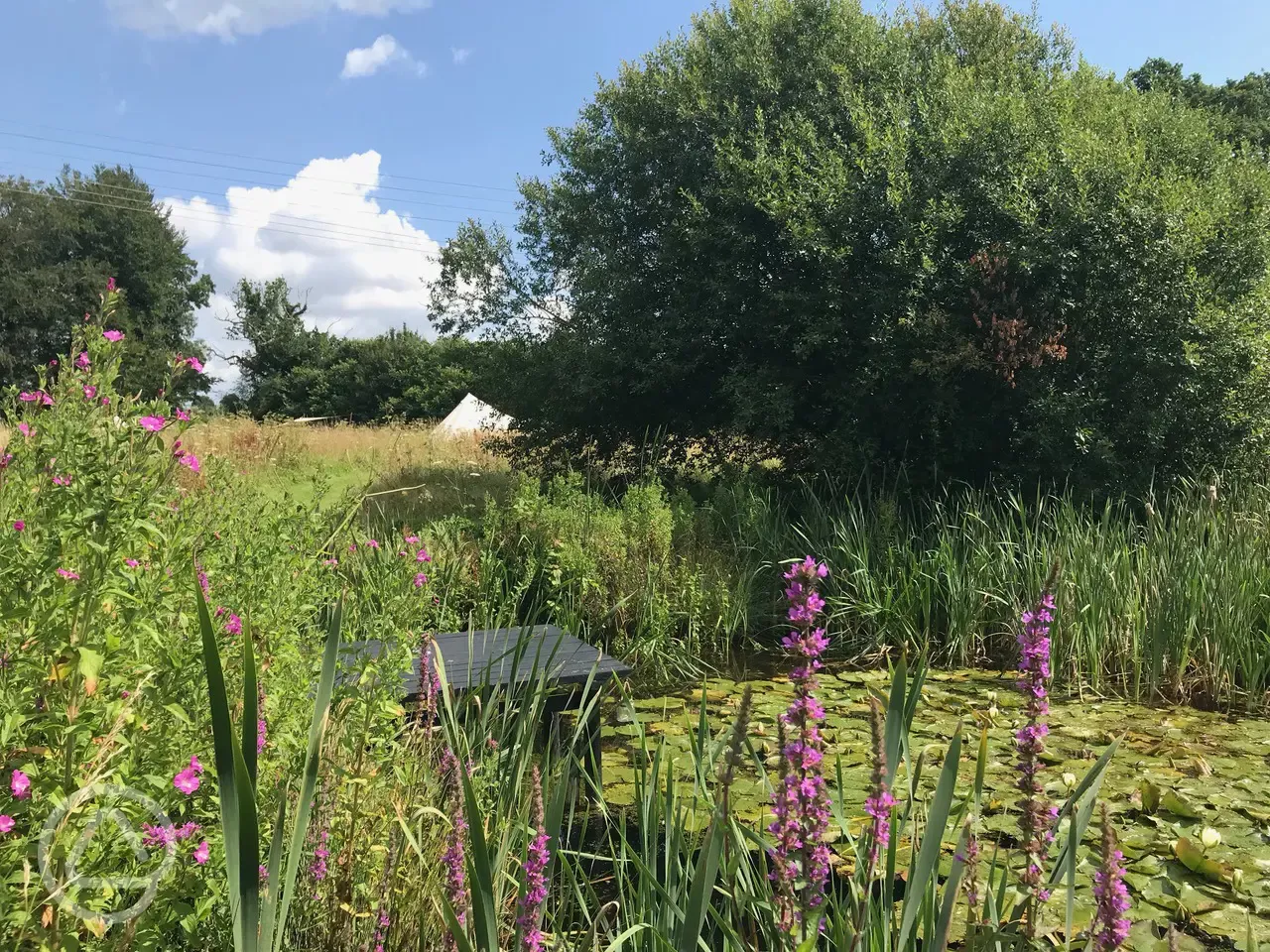 View across the pond