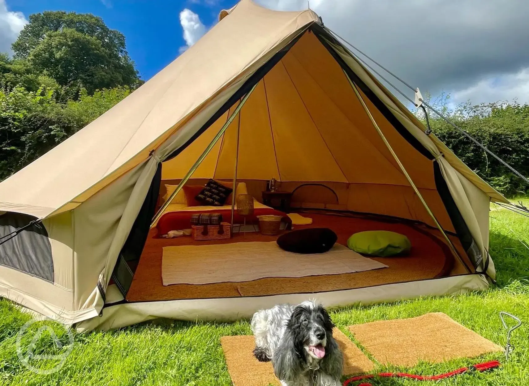 Dog friendly bell tents 