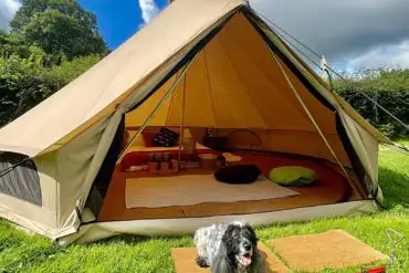 Dog friendly bell tents 