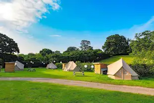 Tread Lightly Glamping, Burley, Hampshire (5.5 miles)