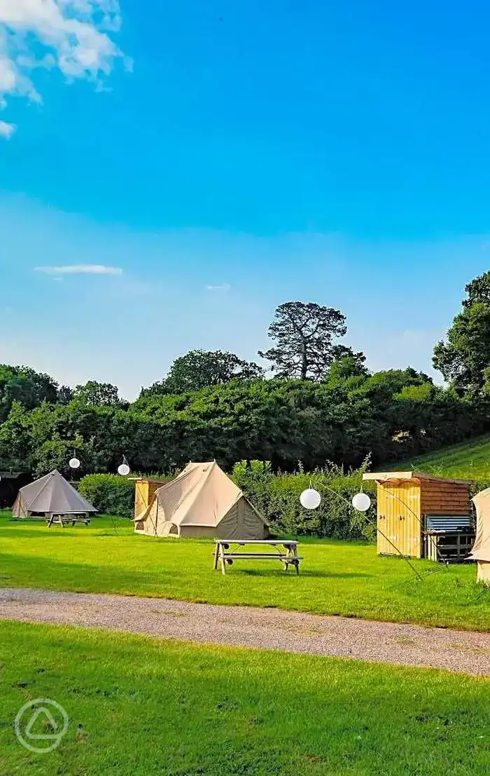 Tread Lightly Glamping in Burley, Hampshire