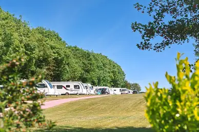 Shrubbery Touring Park
