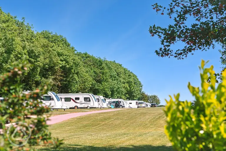 Prime Location pitches at Shrubbery Touring Park in the Devon countryside