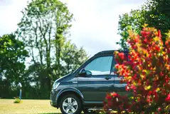 Grass pitches with optional 10 amp electric