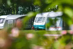 Adult only grass pitches with optional electric