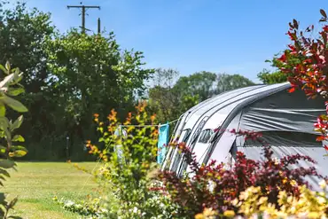 Grass pitches (10m x 10m) with optional 10 amp electric