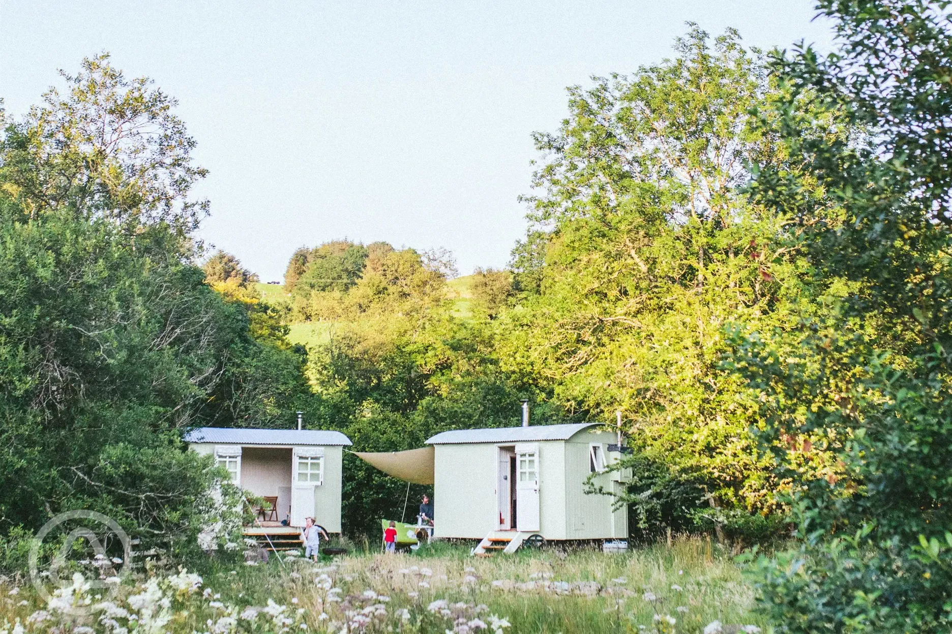 Shepherds' huts with wildflower meadow
