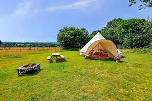 Firecrest Valley Camping and Glamping, Llandysul, Carmarthenshire (11.2 miles)