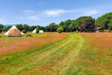 Firecrest Valley Camping and Glamping